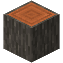 Acacia Log