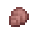 Armadillo Scute