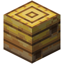 Bee Nest