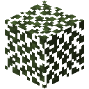 Birch Leaves
