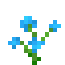 Blue Orchid