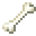Bone