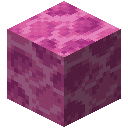 Brain Coral Block