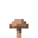 Brown Mushroom