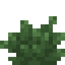 Bush