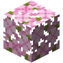 Cherry Leaves