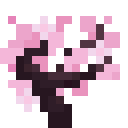 Cherry Sapling