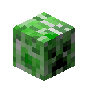 Creeper Head