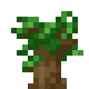 Dark Oak Sapling