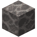 Dead Brain Coral Block