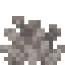 Dead Bubble Coral