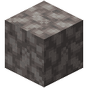 Dead Bubble Coral Block