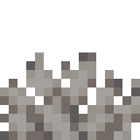Dead Bubble Coral Fan