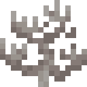 Dead Fire Coral