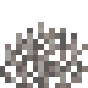 Dead Fire Coral Fan