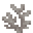 Dead Horn Coral