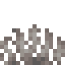 Dead Horn Coral Fan