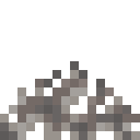 Dead Tube Coral Fan