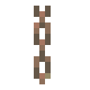 Exposed Copper Chain