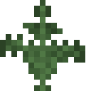 Fern