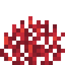 Fire Coral Fan