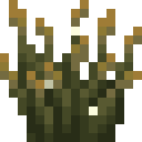 Firefly Bush