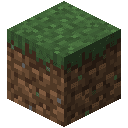 Grass Block