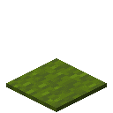 Green Carpet