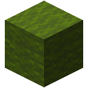 Green Wool