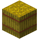 Hay Bale
