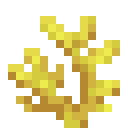Horn Coral