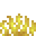 Horn Coral Fan