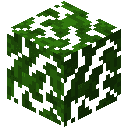 Jungle Leaves