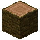 Jungle Log