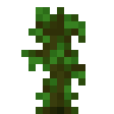 Jungle Sapling
