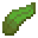 Kelp