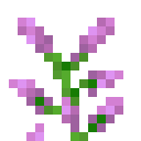 Peony