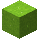 Lime Concrete Powder