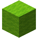 Lime Wool