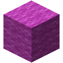 Magenta Wool
