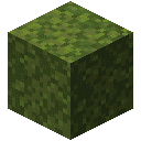 Moss Block