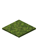 Moss Carpet