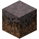 Mycelium