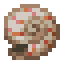 Nautilus Shell