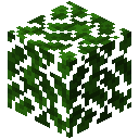 Oak Leaves