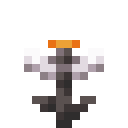 Open Eyeblossom