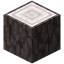 Pale Oak Log