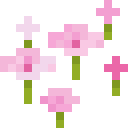 Pink Petals