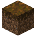 Podzol