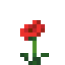 Poppy